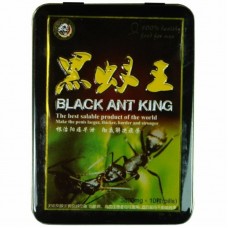 Чёрный Королевский муравей